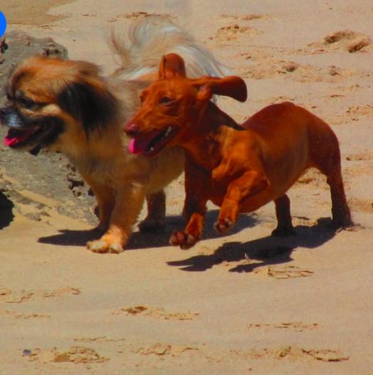 0 Bedroom Property for Sale in Die Bakke Western Cape